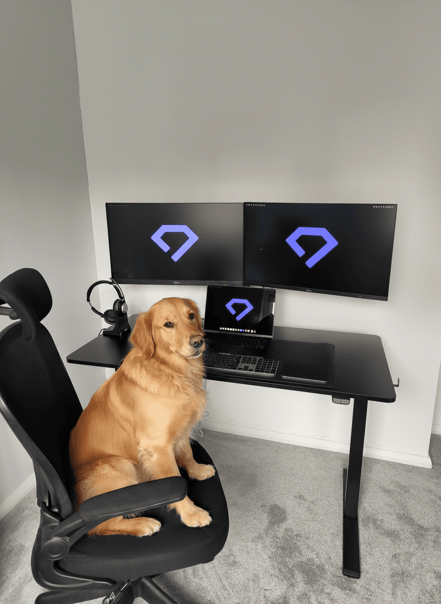 Golden retriever sitting in a black office chair at a desk with three computer monitors.